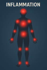 Illustration of chronic inflammation in the body linked to aging